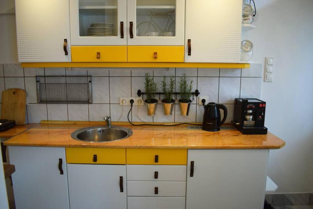 Cosy Apartment Just Next To Parliament 布达佩斯 外观 照片